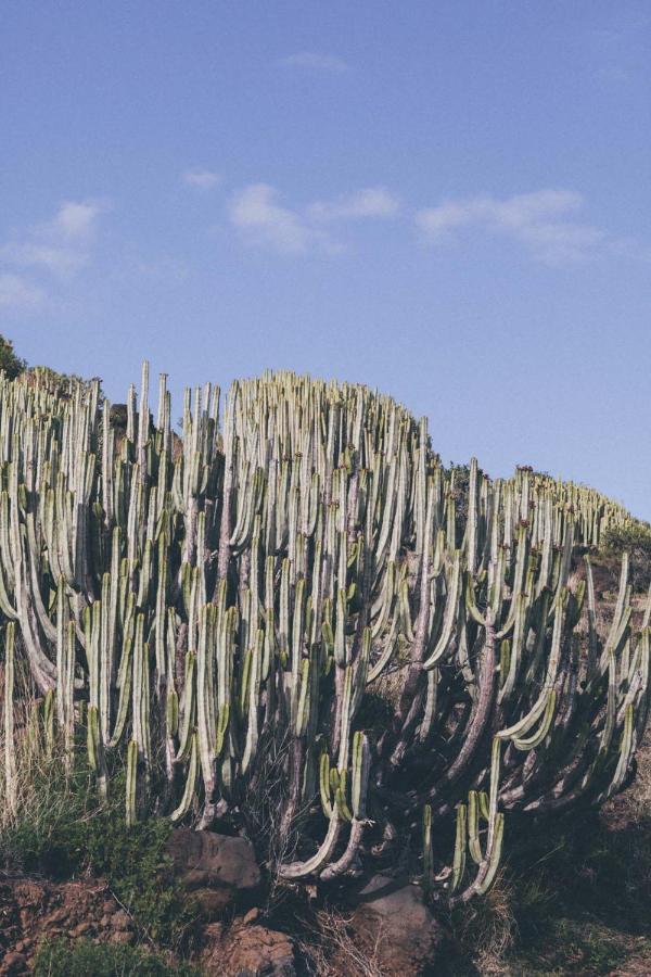 Canary Casita Next To The Atlantic Ocean Radazul 外观 照片