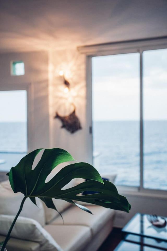 Canary Casita Next To The Atlantic Ocean Radazul 客房 照片